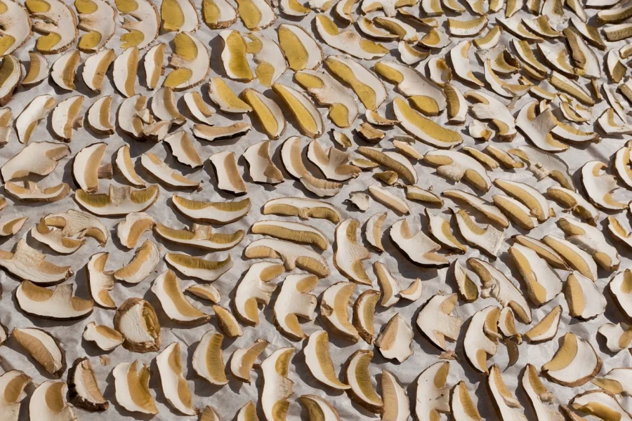 Jak suszyć grzyby w piekarniku? Prawidłowe suszenie grzybów