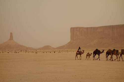 Gdzie leży Arabia Saudyjska: historia i nowoczesność na pustyni Arabii