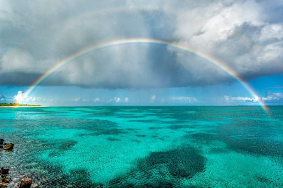 Wyspa Koralowa: tajemnice równikowego raju pod powierzchnią